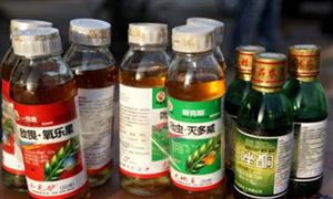2024游樂(lè)設(shè)備產(chǎn)業(yè)發(fā)展前景及趨勢(shì)(圖2)