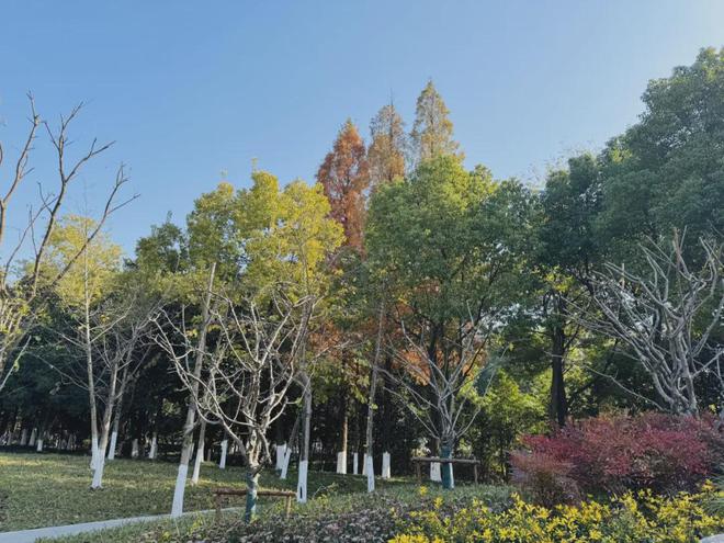 南湖體育公園建成開放(圖1)