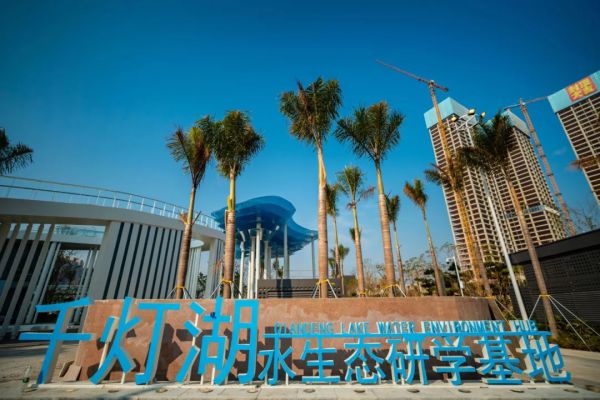 總投資112億！南海3萬㎡桂城全新兒童公園啟用(圖2)