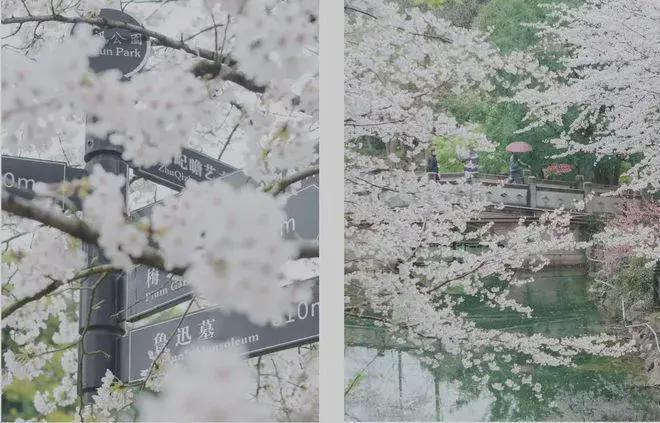 2025中建·虹悅里售樓處最新動(dòng)態(tài)中建·虹悅里一房一價(jià)表(圖6)