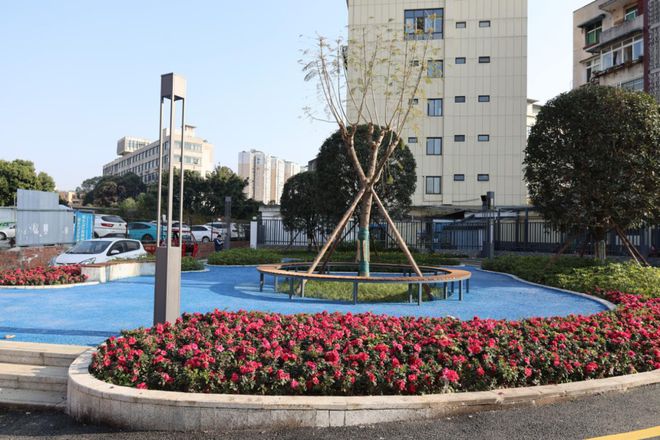 10年254個！看龍泉驛老舊小區(qū)的“蝶變”之路(圖1)